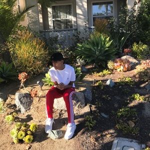 Meet your Posher, Dhanvi